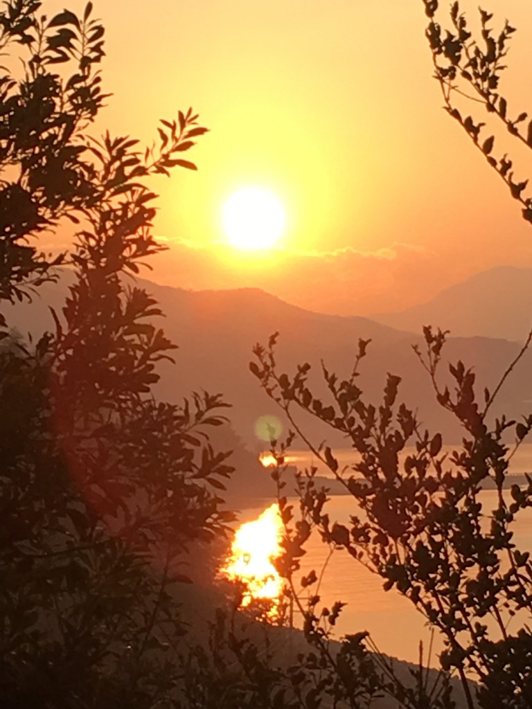 平生湾に映る初日