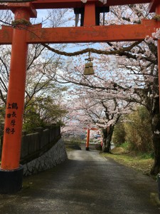 お稲荷さん参道