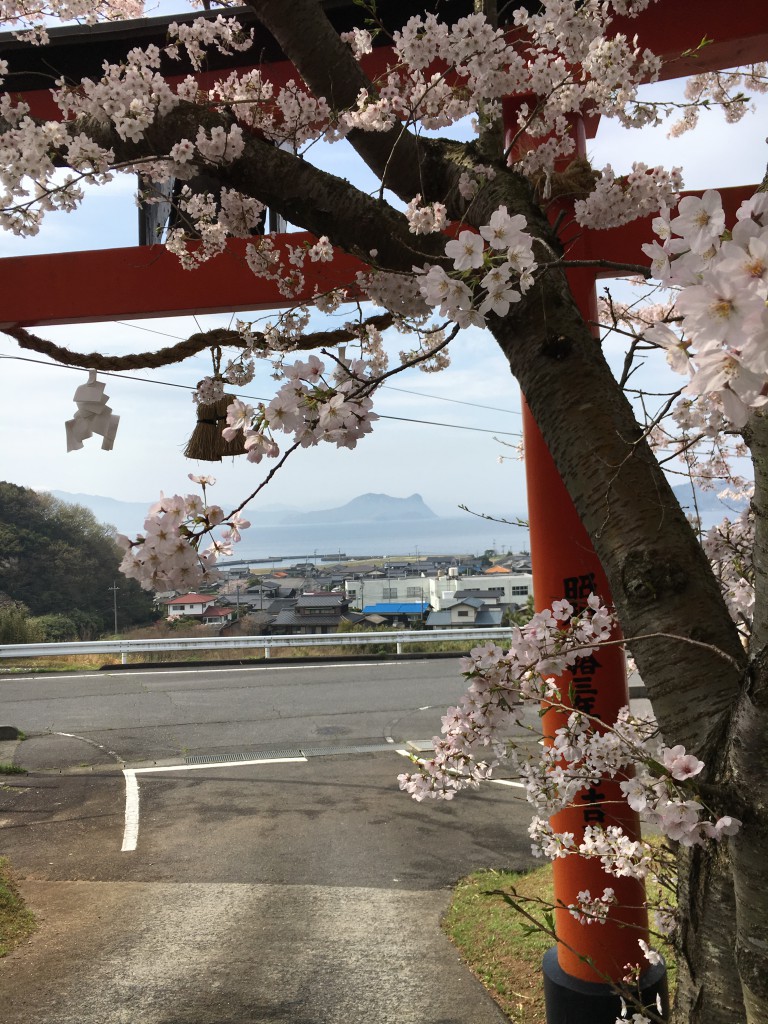 お稲荷さんから瀬戸内海を臨む